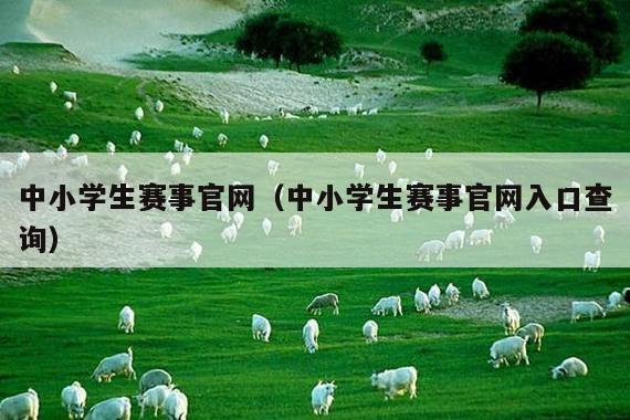 中小学生赛事官网(中小学生赛事官网入口查询)