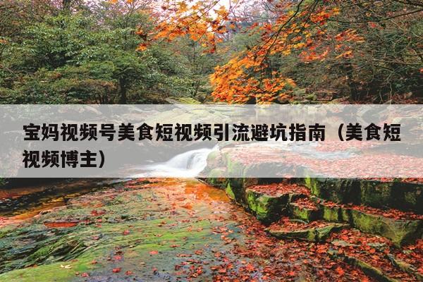 宝妈视频号美食短视频引流避坑指南(美食短视频博主)