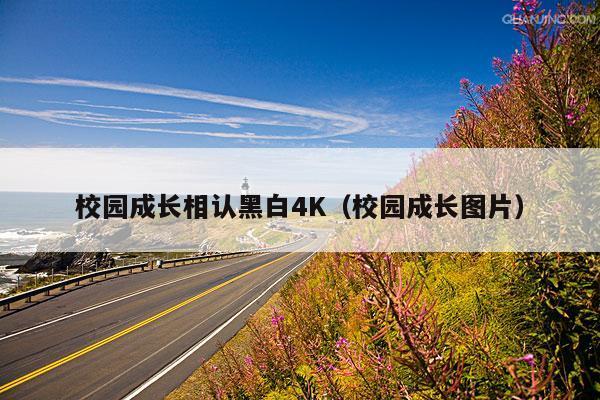 校园成长相认黑白4K(校园成长图片)