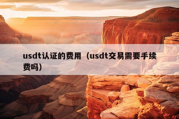 usdt认证的费用(usdt交易需要手续费吗)