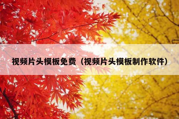 视频片头模板免费(视频片头模板制作软件)