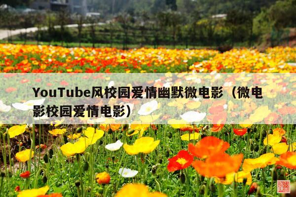 YouTube风校园爱情幽默微电影(微电影校园爱情电影)
