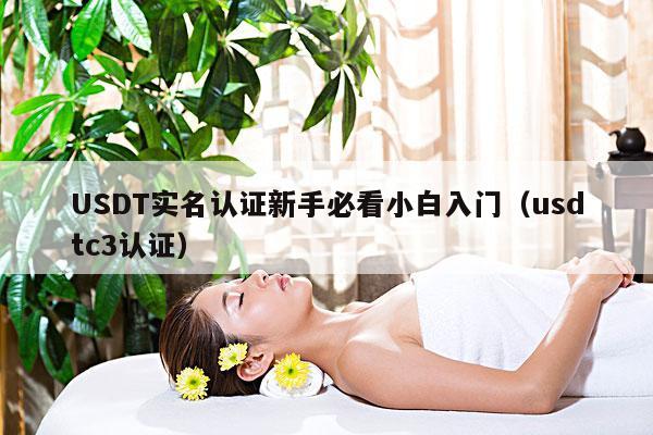 USDT实名认证新手必看小白入门(usdtc3认证)