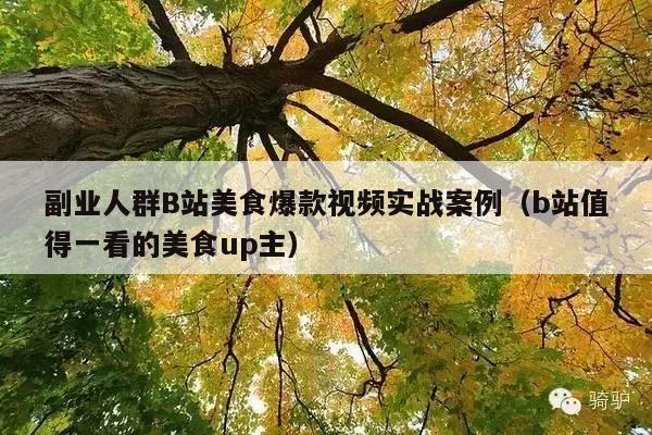 副业人群B站美食爆款视频实战案例(b站值得一看的美食up主)
