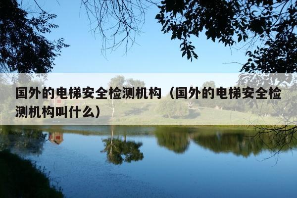 国外的电梯安全检测机构(国外的电梯安全检测机构叫什么)