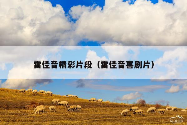 雷佳音精彩片段(雷佳音喜剧片)