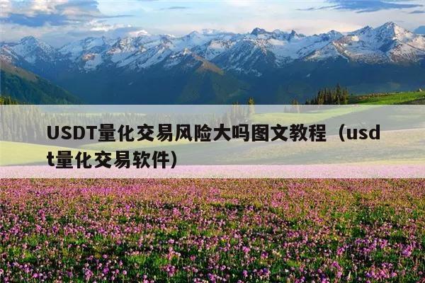 USDT量化交易风险大吗图文教程(usdt量化交易软件)