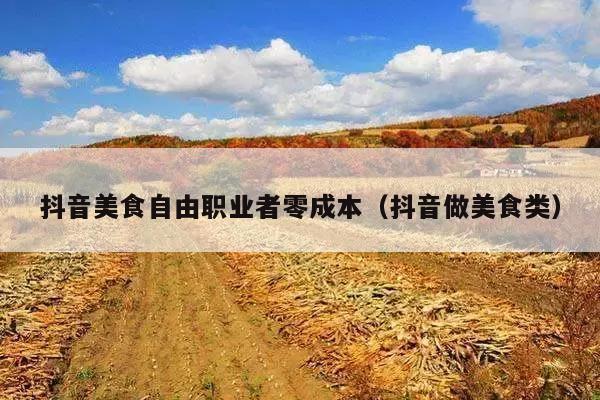 抖音美食自由职业者零成本(抖音做美食类)