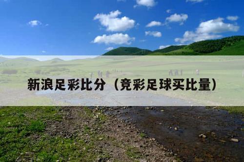 新浪足彩比分(竞彩足球买比量)