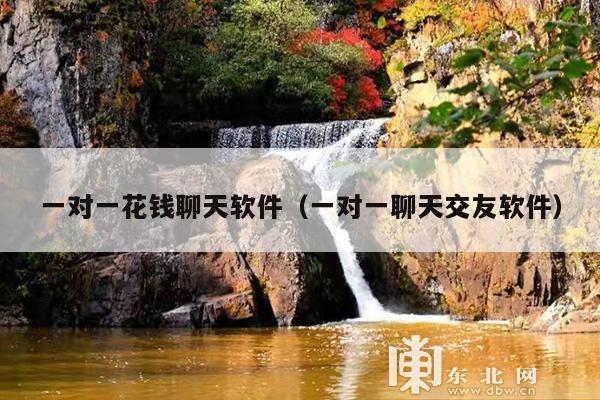 一对一花钱聊天软件(一对一聊天交友软件)