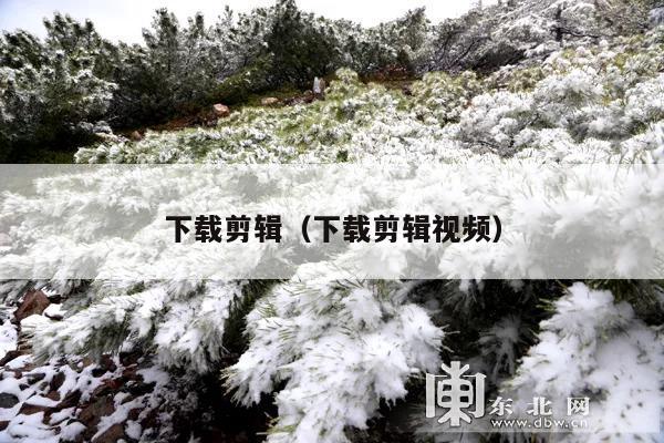 下载剪辑(下载剪辑视频)