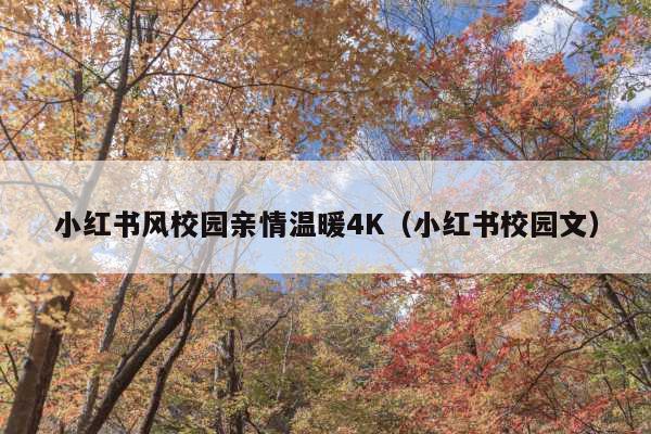 小红书风校园亲情温暖4K(小红书校园文)