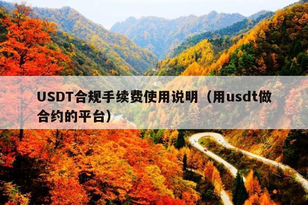 USDT合规手续费使用说明(用usdt做合约的平台)