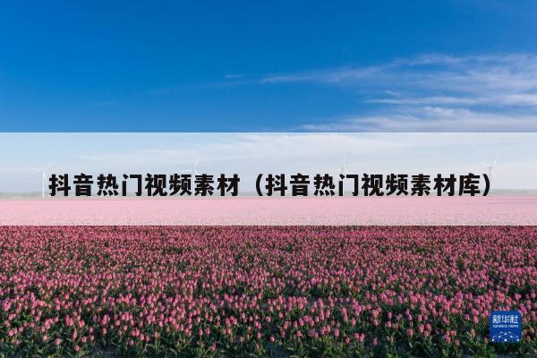 抖音热门视频素材(抖音热门视频素材库)