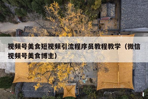 视频号美食短视频引流程序员教程教学(微信视频号美食博主)