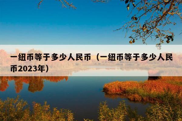 一纽币等于多少人民币（一纽币等于多少人民币2023年）