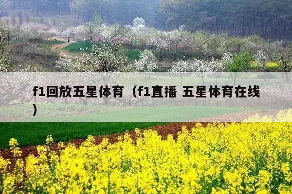 f1回放五星体育(f1直播 五星体育在线)