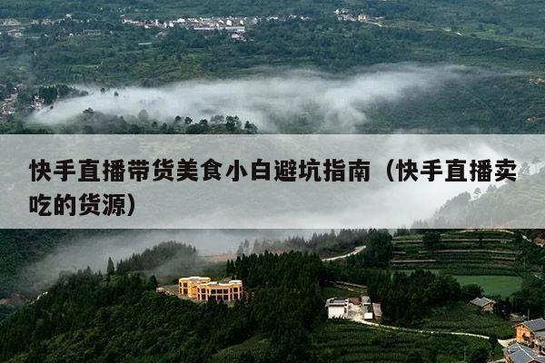 快手直播带货美食小白避坑指南(快手直播卖吃的货源)