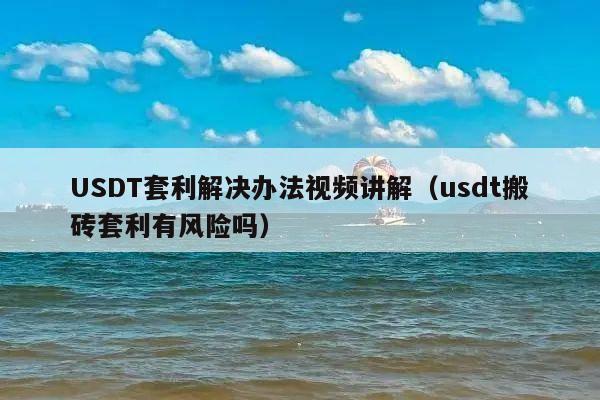 USDT套利解决办法视频讲解(usdt搬砖套利有风险吗)