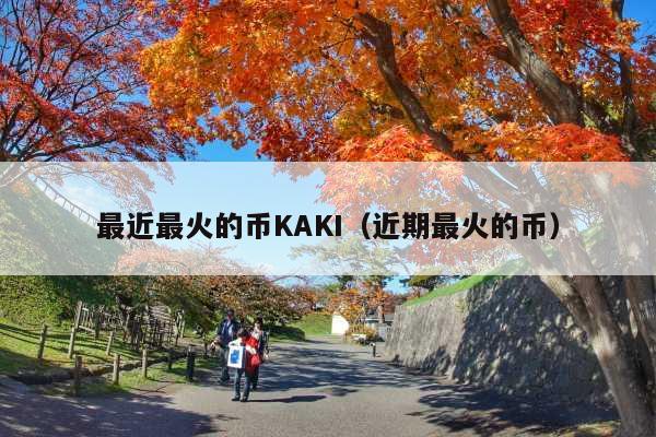 最近最火的币KAKI(近期最火的币)