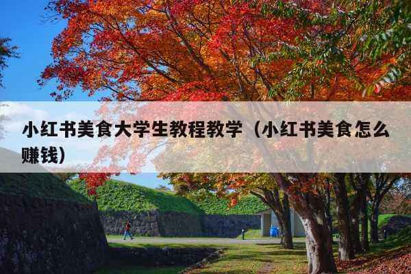 小红书美食大学生教程教学(小红书美食怎么赚钱)