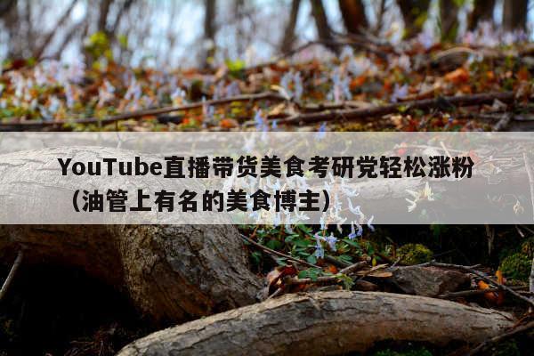 YouTube直播带货美食考研党轻松涨粉(油管上有名的美食博主)
