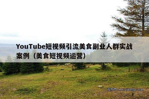 YouTube短视频引流美食副业人群实战案例(美食短视频运营)