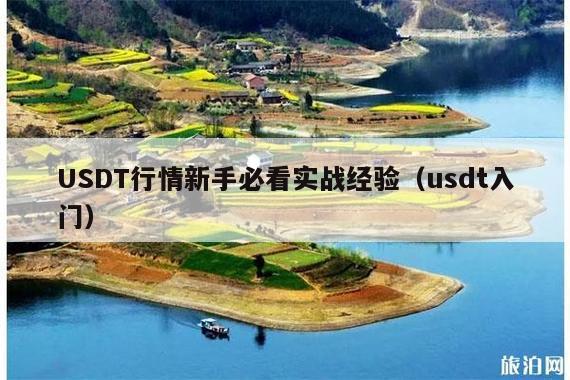 USDT行情新手必看实战经验(usdt入门)
