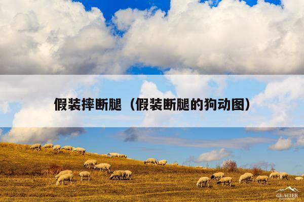 假装摔断腿(假装断腿的狗动图)