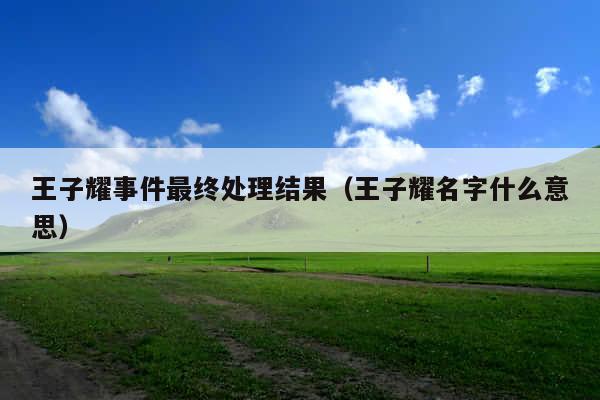 王子耀事件最终处理结果(王子耀名字什么意思)