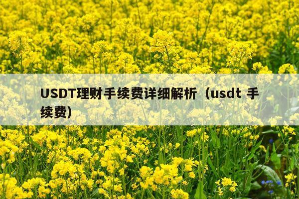 USDT理财手续费详细解析(usdt 手续费)