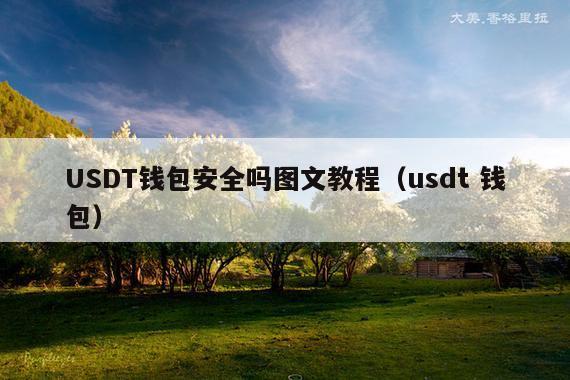 USDT钱包安全吗图文教程(usdt 钱包)