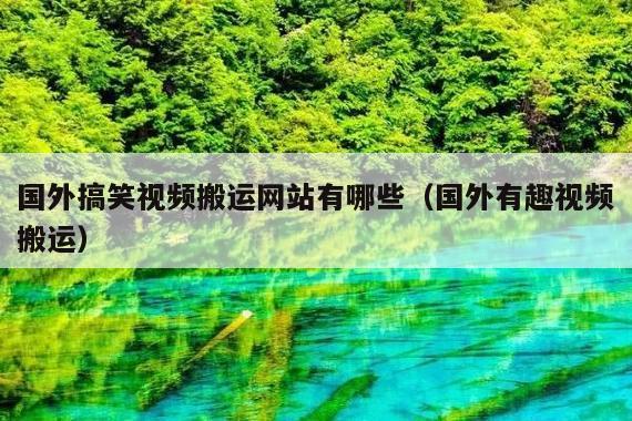 国外搞笑视频搬运网站有哪些(国外有趣视频搬运)