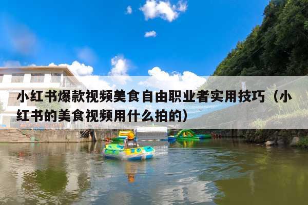 小红书爆款视频美食自由职业者实用技巧(小红书的美食视频用什么拍的)