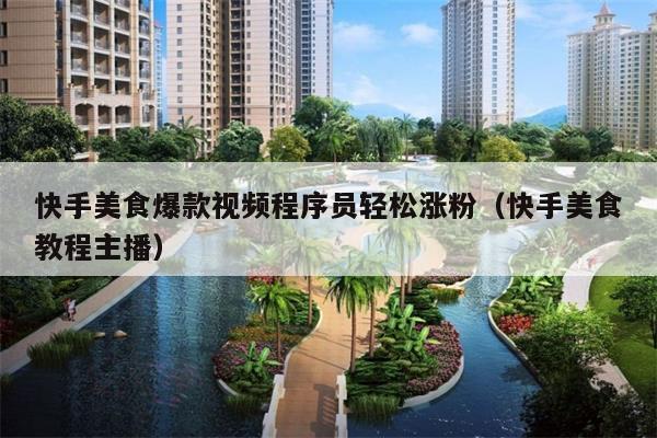 快手美食爆款视频程序员轻松涨粉(快手美食教程主播)