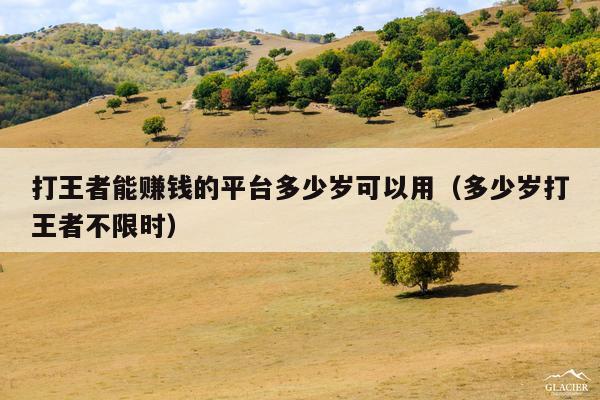 打王者能赚钱的平台多少岁可以用(多少岁打王者不限时)