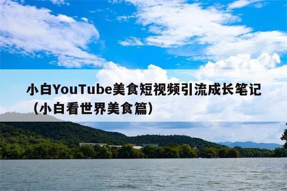 小白YouTube美食短视频引流成长笔记(小白看世界美食篇)