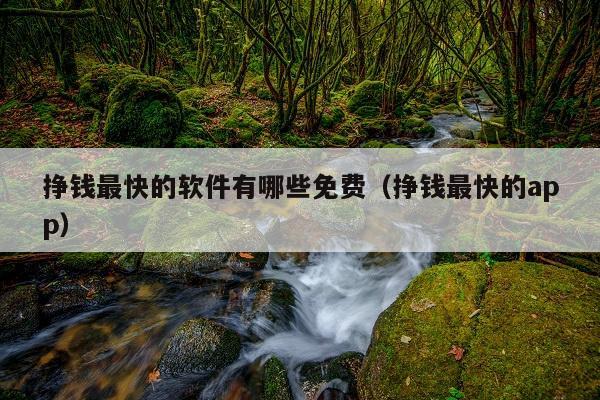 挣钱最快的软件有哪些免费(挣钱最快的app)
