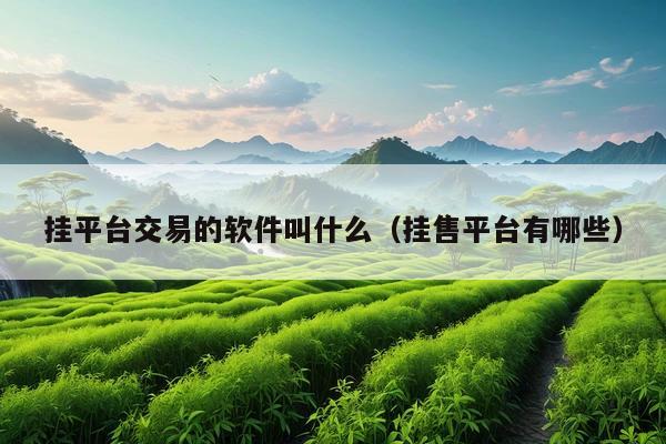挂平台交易的软件叫什么(挂售平台有哪些)