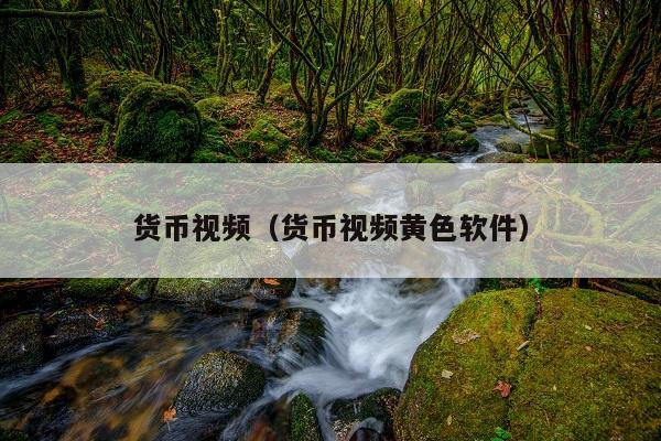 货币视频(货币视频黄色软件)