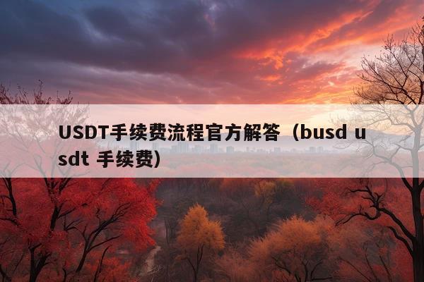 USDT手续费流程官方解答(busd usdt 手续费)
