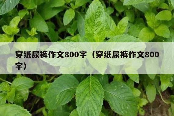 穿纸尿裤作文800字(穿纸尿裤作文800字)