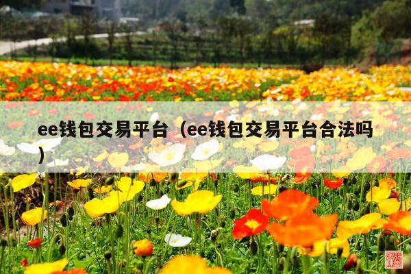 ee钱包交易平台(ee钱包交易平台合法吗)