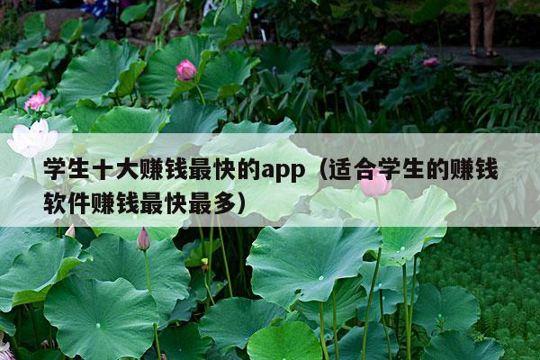 学生十大赚钱最快的app(适合学生的赚钱软件赚钱最快最多)
