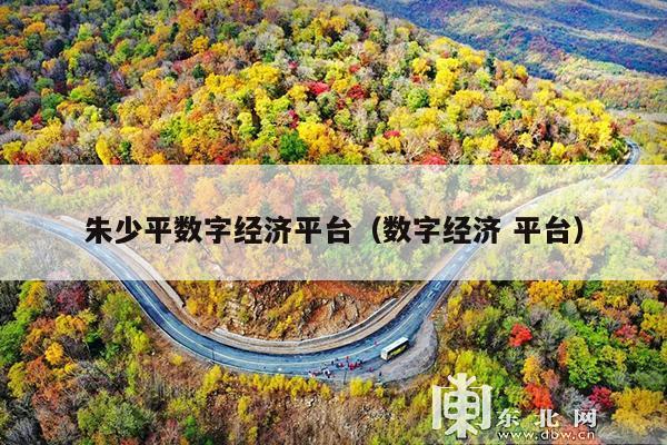 朱少平数字经济平台(数字经济 平台)