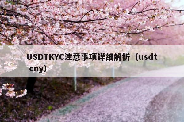 USDTKYC注意事项详细解析(usdt cny)