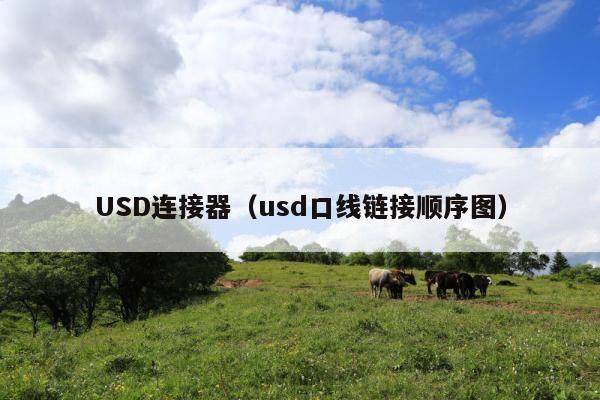 USD连接器(usd口线链接顺序图)
