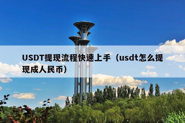 USDT提现流程快速上手(usdt怎么提现成人民币)