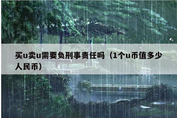 买u卖u需要负刑事责任吗(1个u币值多少人民币)