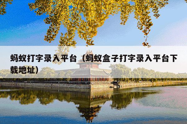 蚂蚁打字录入平台(蚂蚁盒子打字录入平台下载地址)